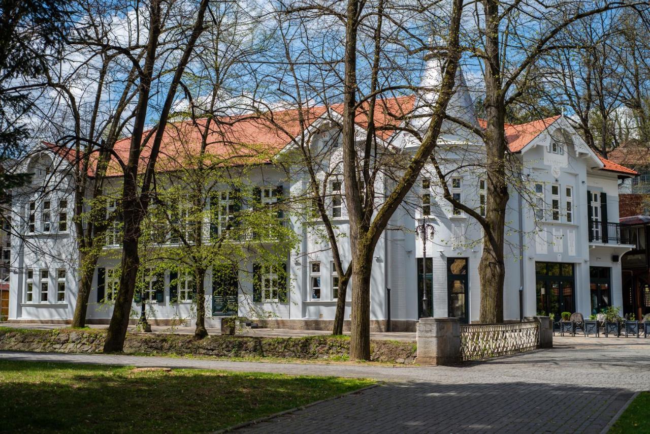 Vila Emilia Vrnjacka Banja Ngoại thất bức ảnh